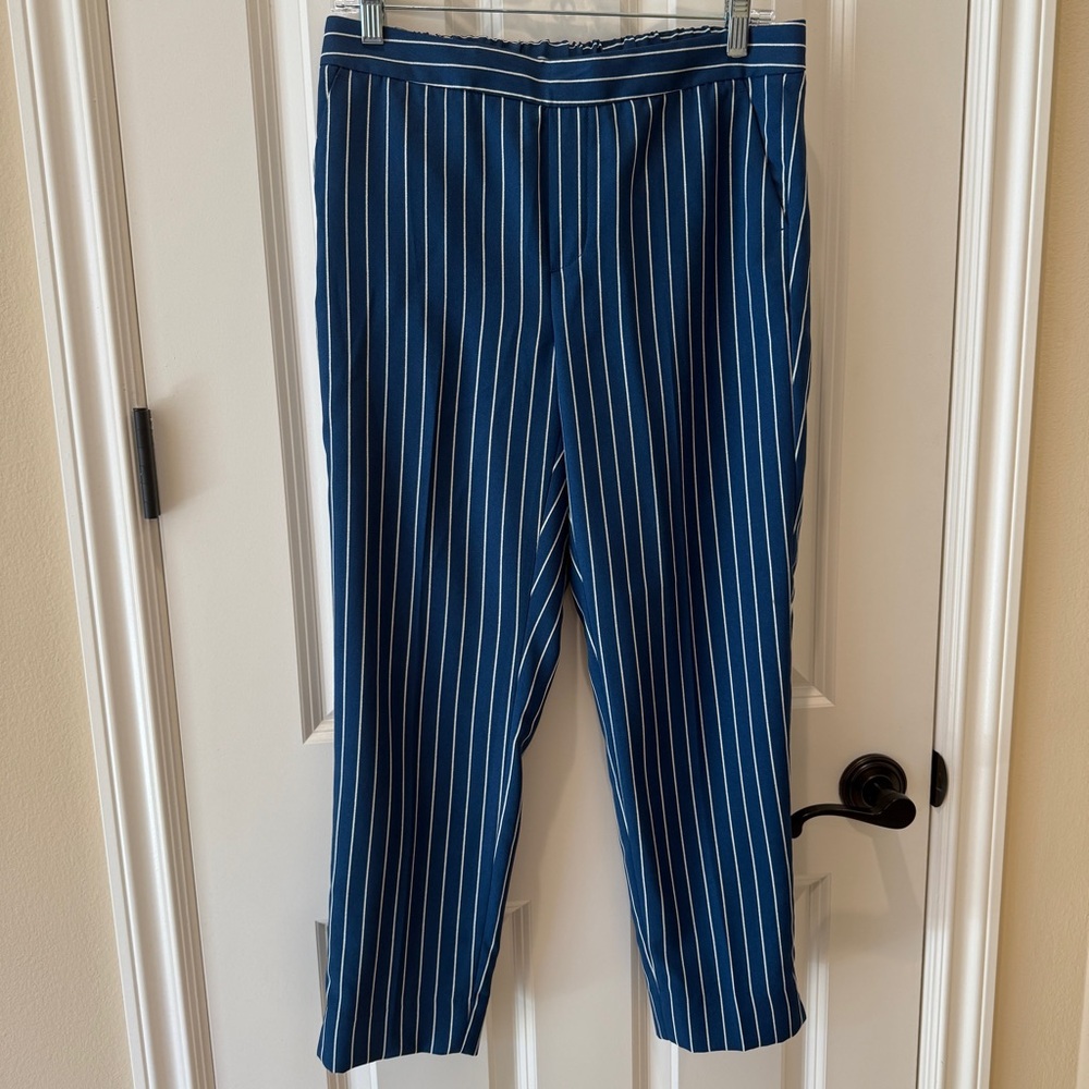 Banana Republic Blue and White Cropped Pants with Pinstripe Design
